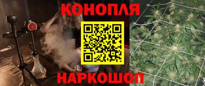 крисы Бердск