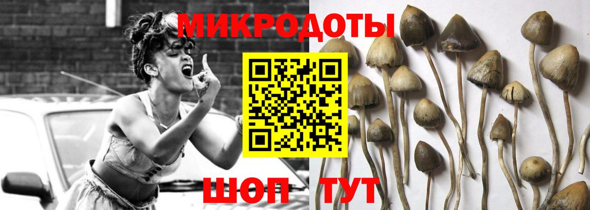 Богородск  Галлюциногенные грибы Cubensis  Вход с VPN 